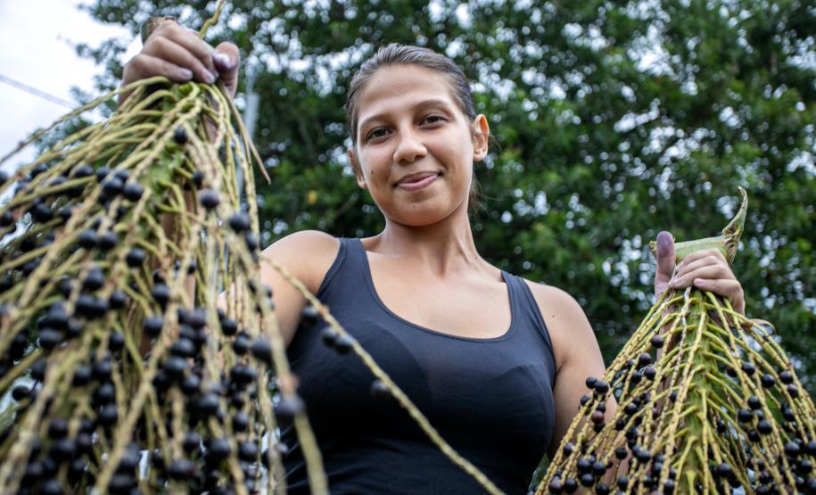 Portos do Paraná oferece oficina gratuita para coleta e despolpa de açaí juçara