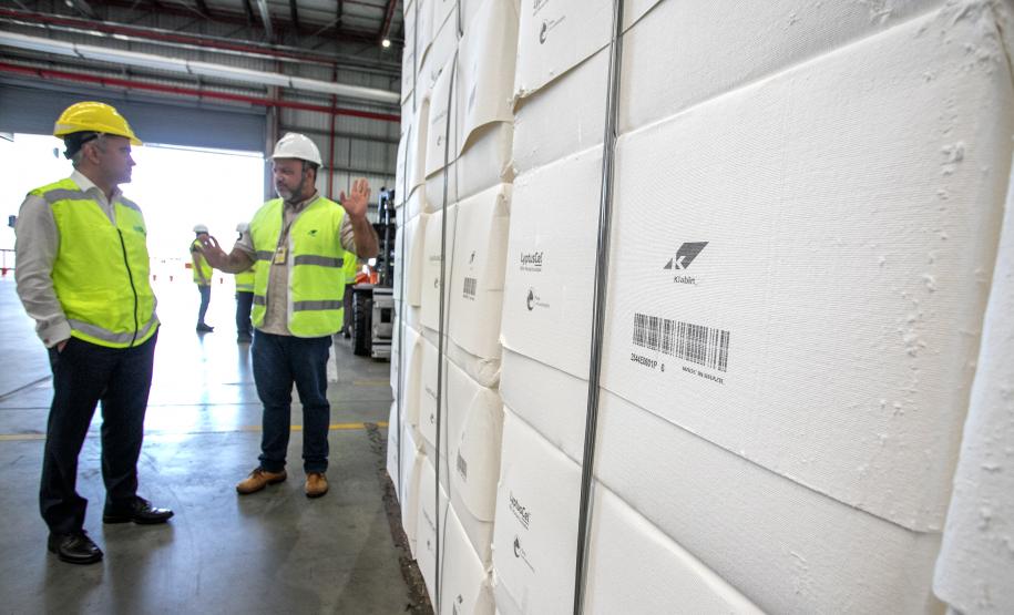 Fundación Valenciaport apresenta as etapas do Plano de Descarbonização da Portos do Paraná