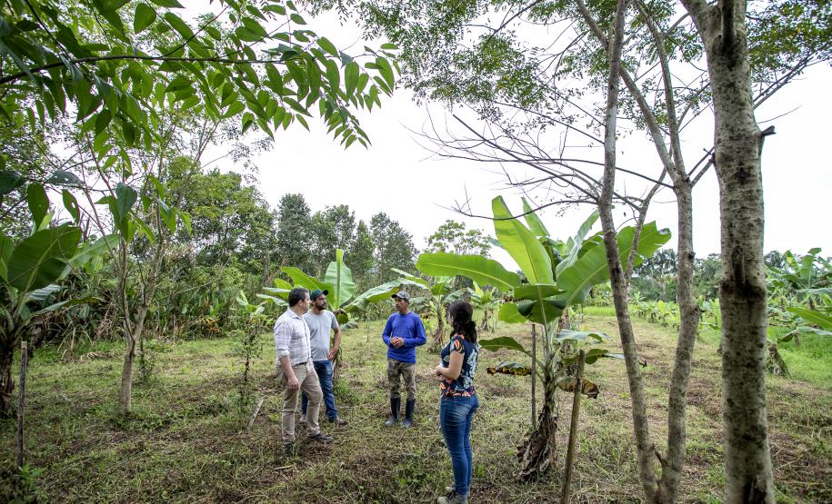 Portos do Paraná recupera área florestal equivalente a 40 campos de futebol em Antonina