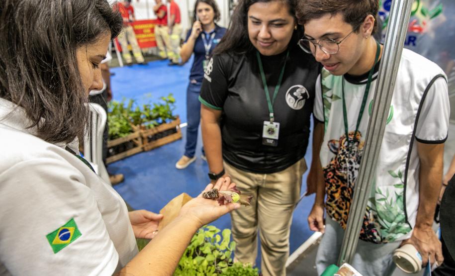 Portos do Paraná apresenta projetos de educação ambiental na Semana do Meio Ambiente