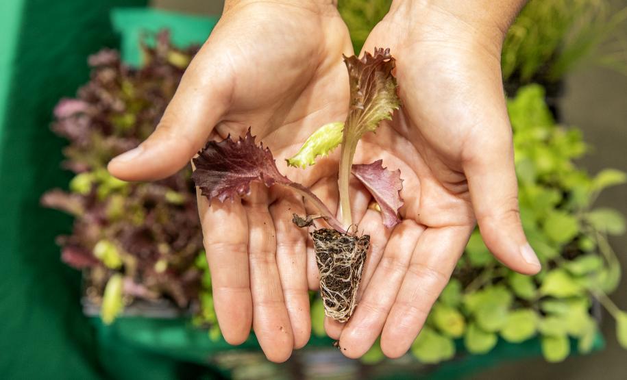 Portos do Paraná apresenta projetos de educação ambiental na Semana do Meio Ambiente