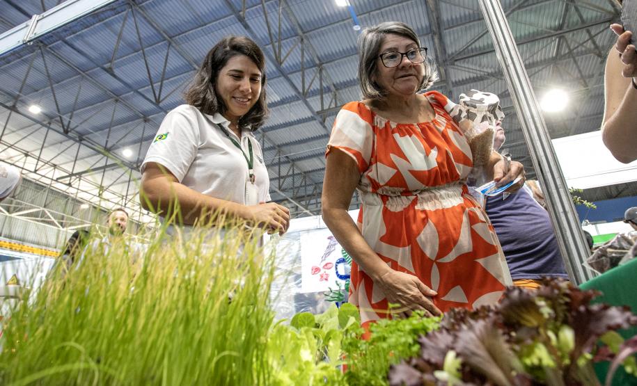 Portos do Paraná apresenta projetos de educação ambiental na Semana do Meio Ambiente
