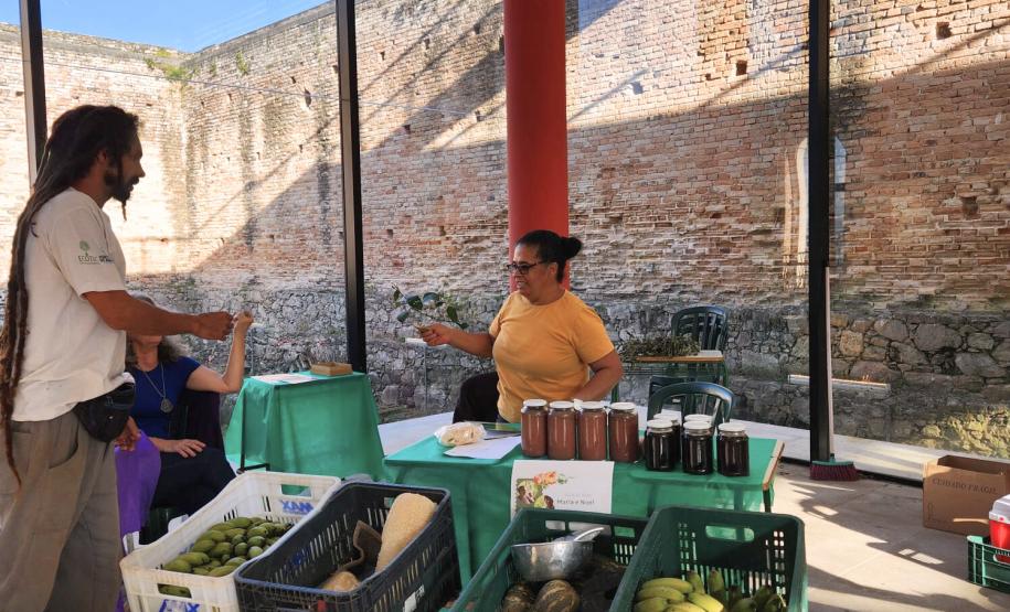 Portos do Paraná recupera área florestal equivalente a 40 campos de futebol em Antonina