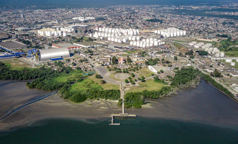 Mutirão de limpeza de manguezais da Portos do Paraná recolhe mais de 600 quilos de resíduos