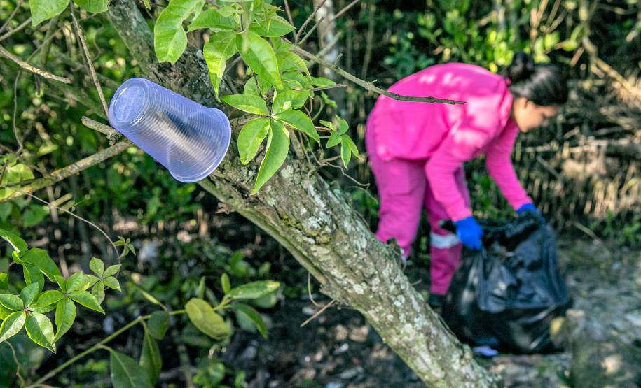 Mutirão de limpeza de manguezais da Portos do Paraná recolhe mais de 600 quilos de resíduos