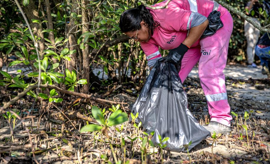 Mutirão de limpeza de manguezais da Portos do Paraná recolhe mais de 600 quilos de resíduos