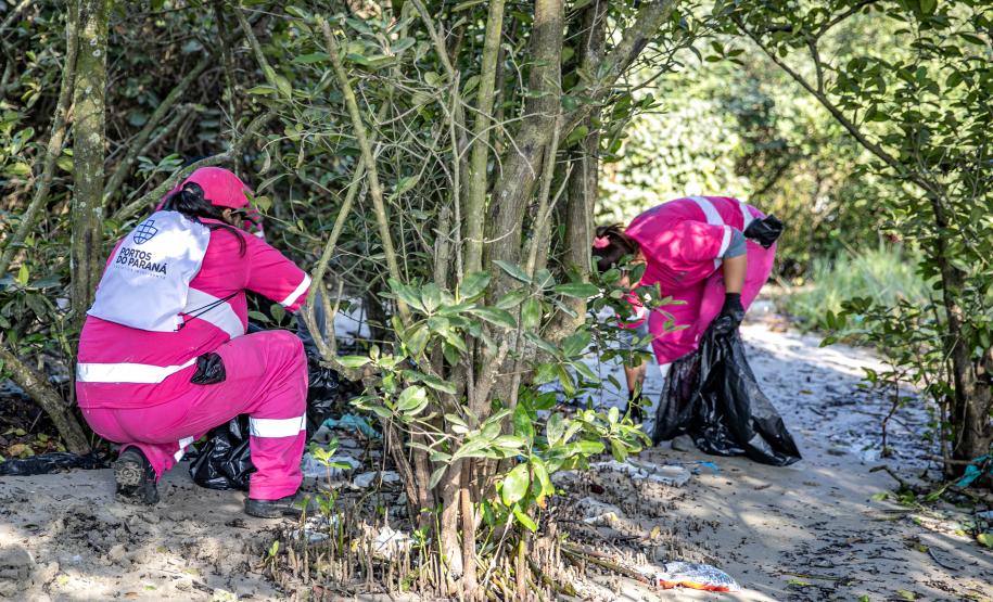 Mutirão de limpeza de manguezais da Portos do Paraná recolhe mais de 600 quilos de resíduos