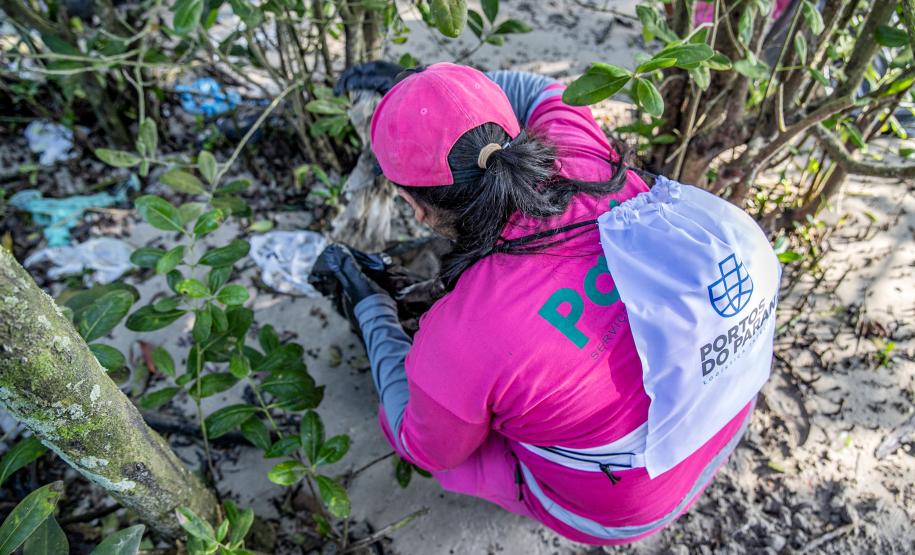 Mutirão de limpeza de manguezais da Portos do Paraná recolhe mais de 600 quilos de resíduos