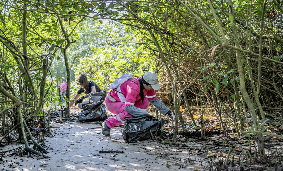 Mutirão de limpeza de manguezais da Portos do Paraná recolhe mais de 600 quilos de resíduos