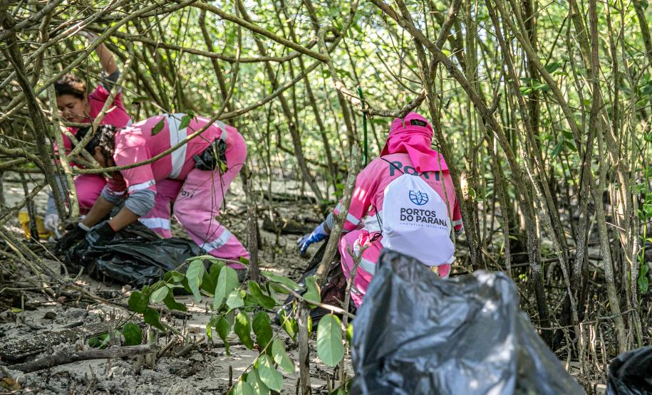 Mutirão de limpeza de manguezais da Portos do Paraná recolhe mais de 600 quilos de resíduos