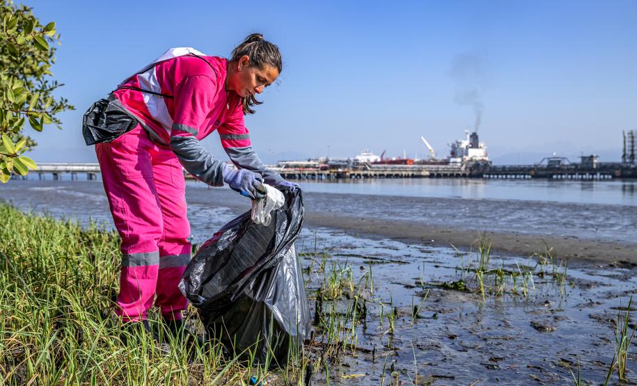 Mutirão de limpeza de manguezais da Portos do Paraná recolhe mais de 600 quilos de resíduos