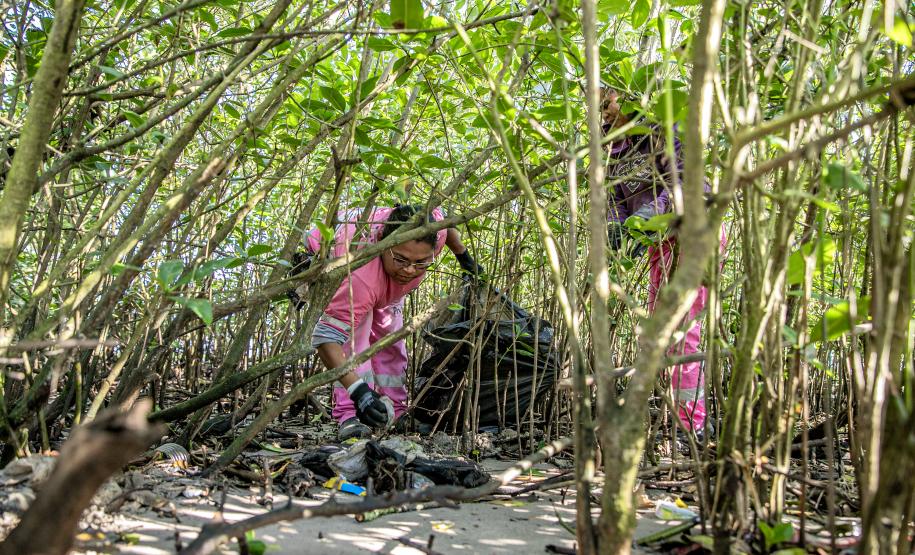 Mutirão de limpeza de manguezais da Portos do Paraná recolhe mais de 600 quilos de resíduos