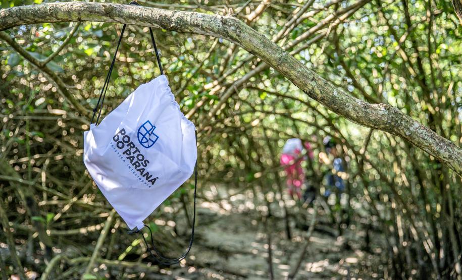 Mutirão de limpeza de manguezais da Portos do Paraná recolhe mais de 600 quilos de resíduos