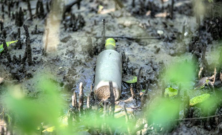 Mutirão de limpeza de manguezais da Portos do Paraná recolhe mais de 600 quilos de resíduos