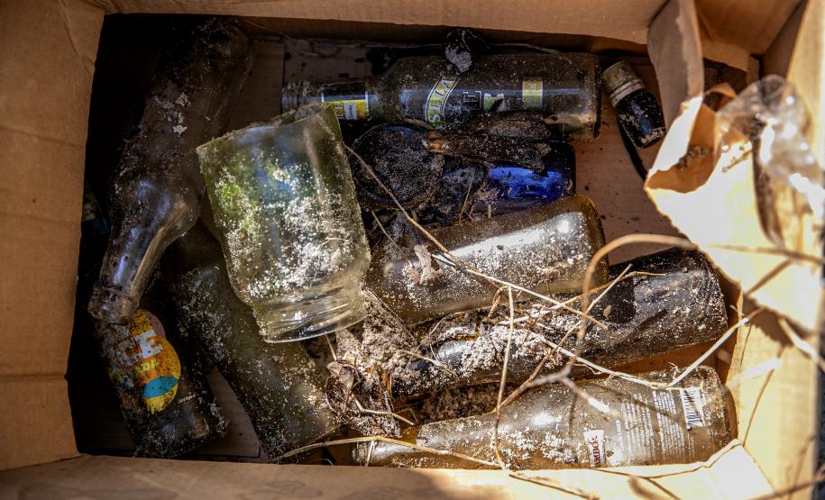 Mutirão de limpeza de manguezais da Portos do Paraná recolhe mais de 600 quilos de resíduos