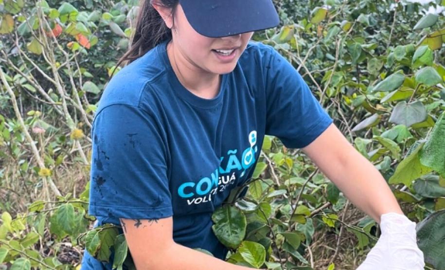 Portos do Paraná participa de mutirão de limpeza na Ilha do Mel e retira quase 3 toneladas de resíduos