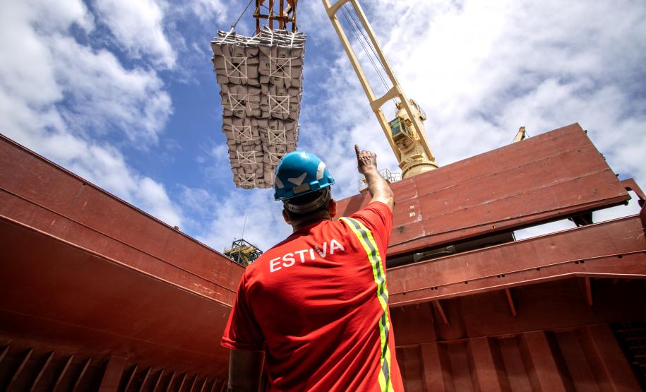 Portos do Paraná celebra o Dia do Estivador