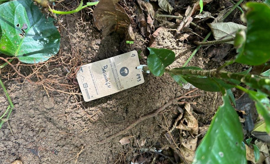 Portos do Paraná encerra outubro com atividades socioambientais no litoral do Estado