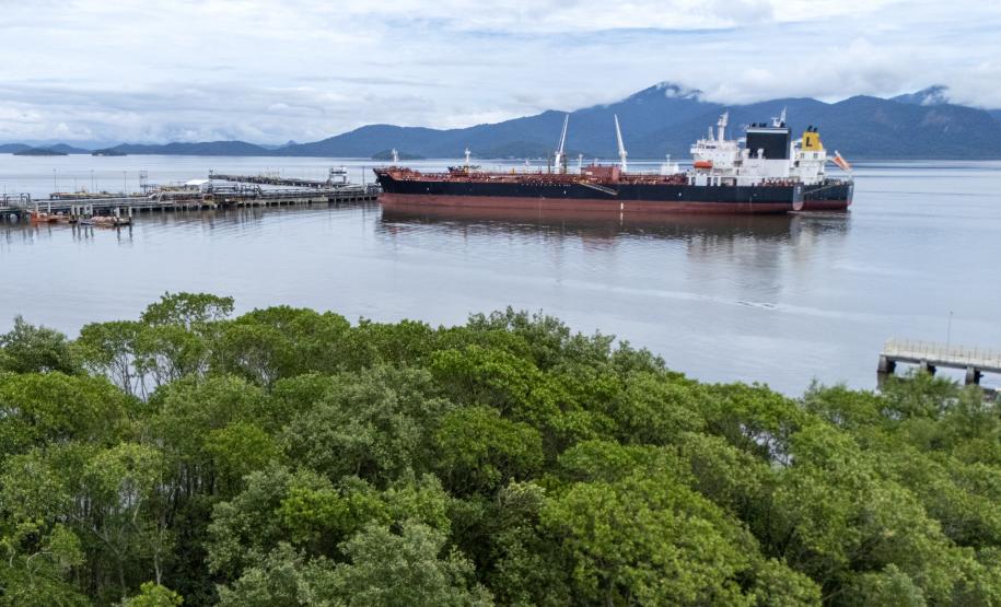 Porto de Paranaguá movimentou 72% da carga nacional de óleo de soja em janeiro