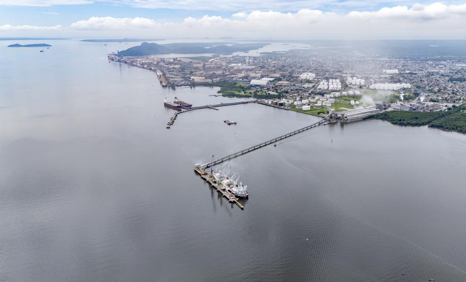 Porto de Paranaguá movimentou 72% da carga nacional de óleo de soja em janeiro