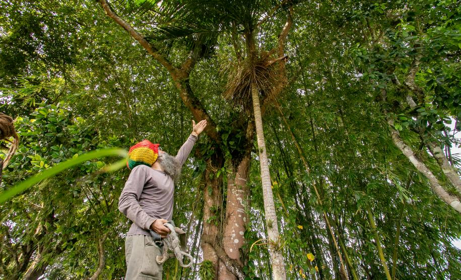 2ª Oficina da Portos do Paraná sobre coleta e despolpa do açaí juçara é realizada no litoral