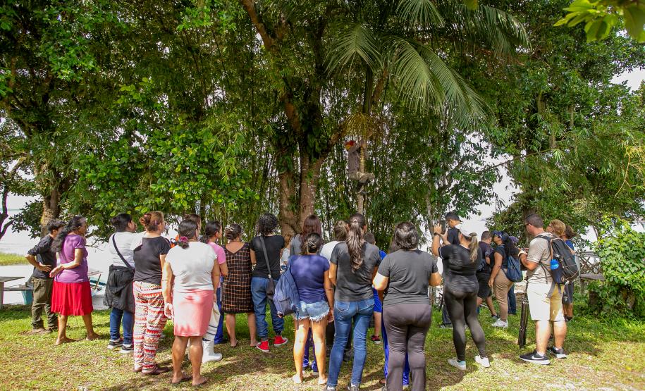 2ª Oficina da Portos do Paraná sobre coleta e despolpa do açaí juçara é realizada no litoral