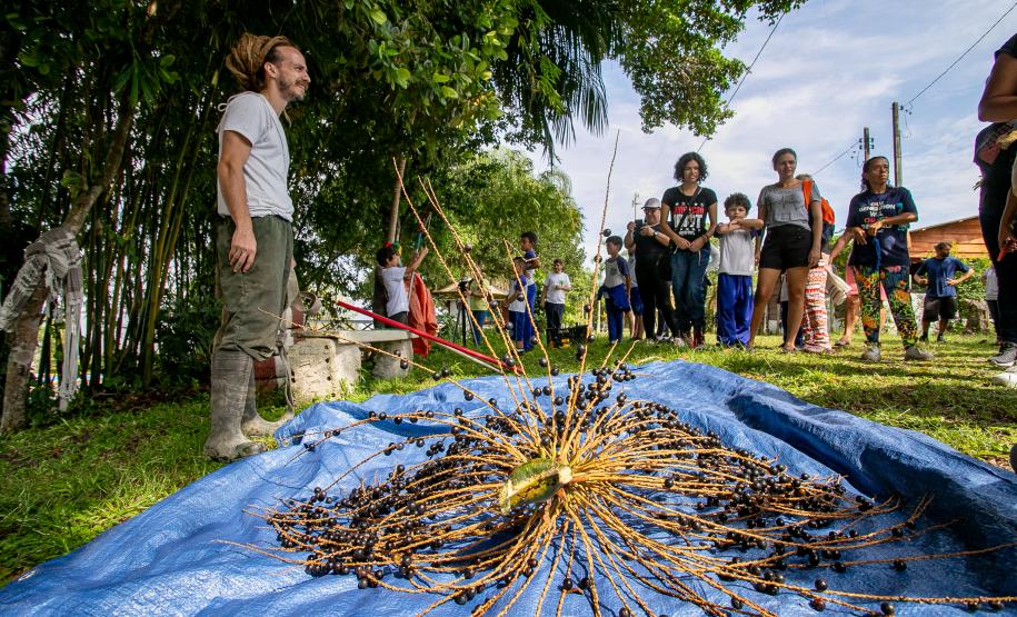 2ª Oficina da Portos do Paraná sobre coleta e despolpa do açaí juçara é realizada no litoral