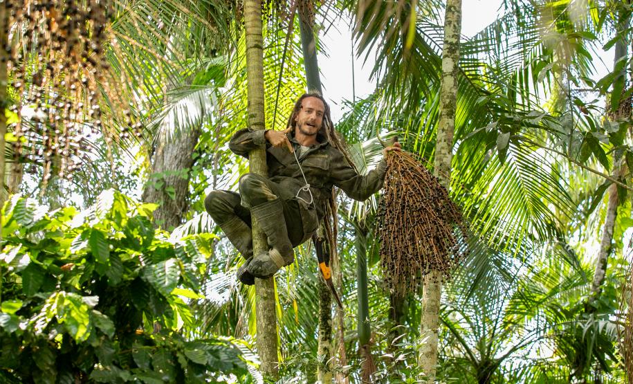 2ª Oficina da Portos do Paraná sobre coleta e despolpa do açaí juçara é realizada no litoral