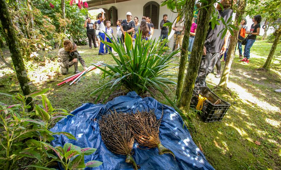 2ª Oficina da Portos do Paraná sobre coleta e despolpa do açaí juçara é realizada no litoral