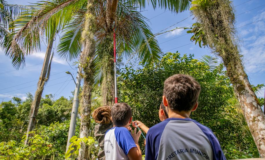 2ª Oficina da Portos do Paraná sobre coleta e despolpa do açaí juçara é realizada no litoral