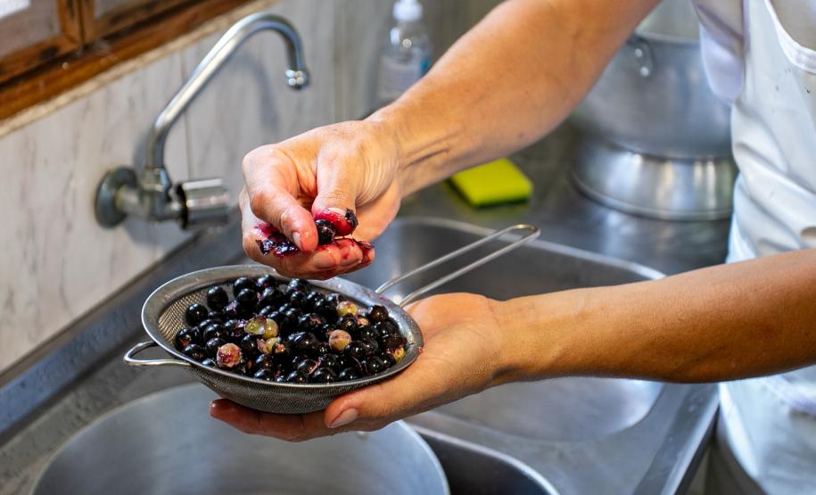 2ª Oficina da Portos do Paraná sobre coleta e despolpa do açaí juçara é realizada no litoral