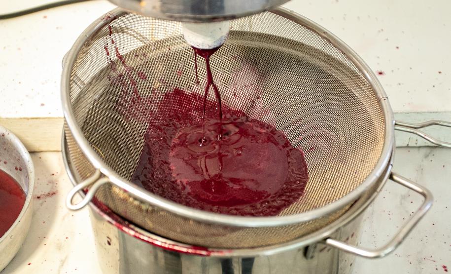 2ª Oficina da Portos do Paraná sobre coleta e despolpa do açaí juçara é realizada no litoral