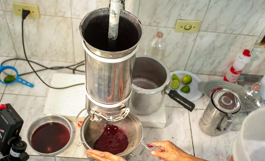 2ª Oficina da Portos do Paraná sobre coleta e despolpa do açaí juçara é realizada no litoral