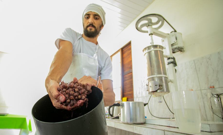 2ª Oficina da Portos do Paraná sobre coleta e despolpa do açaí juçara é realizada no litoral