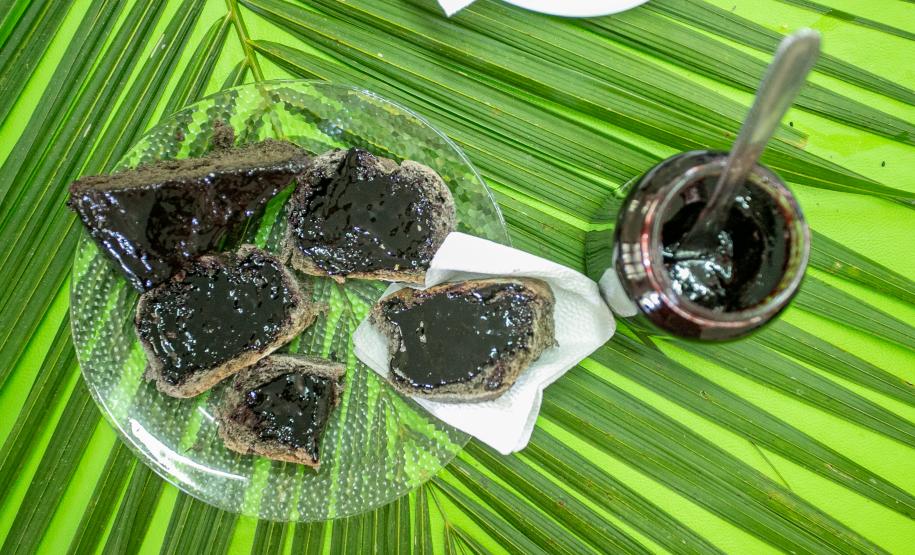 2ª Oficina da Portos do Paraná sobre coleta e despolpa do açaí juçara é realizada no litoral