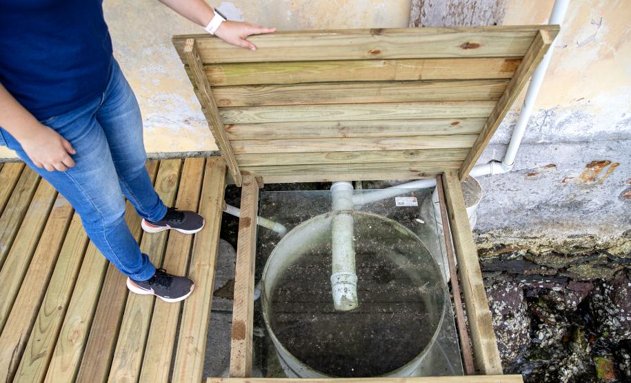 Portos do Paraná investe R$ 35 milhões em ações socioambientais e ambientais em 2024