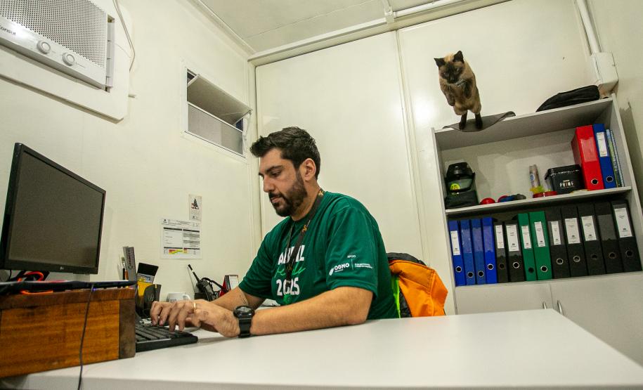 Gato Marcelo é o “funcionário pet” do Moegão, a maior obra portuária do Brasil