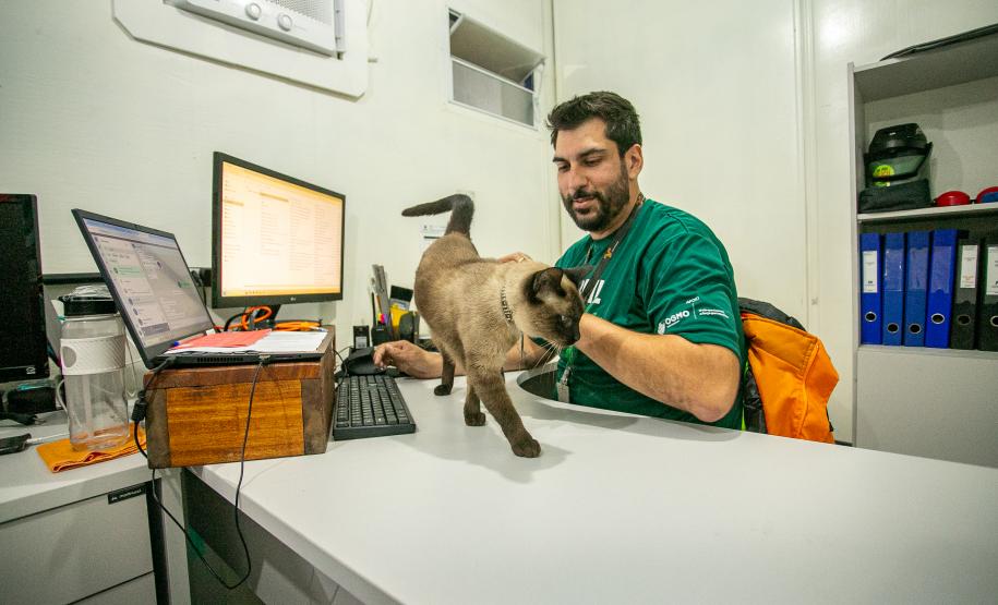 Gato Marcelo é o “funcionário pet” do Moegão, a maior obra portuária do Brasil