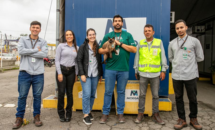 Gato Marcelo é o “funcionário pet” do Moegão, a maior obra portuária do Brasil