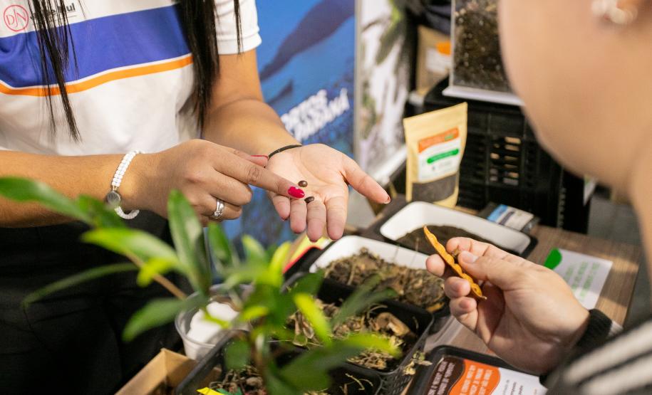 Projetos socioambientais da Portos do Paraná são destaque na Semana do Meio Ambiente