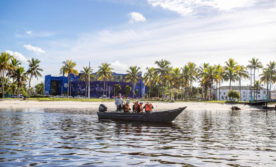 Mutirão remove mais de meia tonelada de lixo dos manguezais em Paranaguá