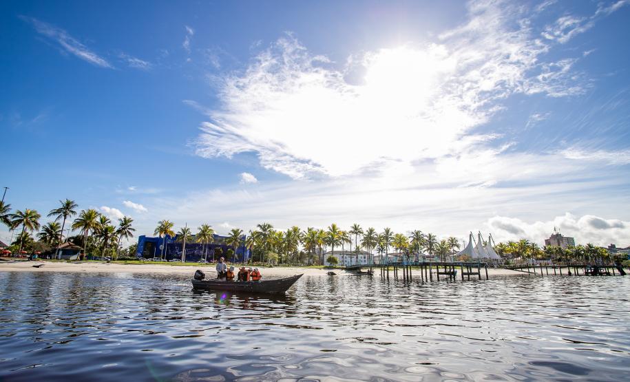 Mutirão remove mais de meia tonelada de lixo dos manguezais em Paranaguá