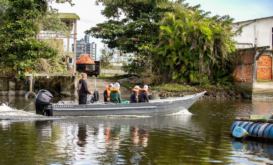 Mutirão remove mais de meia tonelada de lixo dos manguezais em Paranaguá