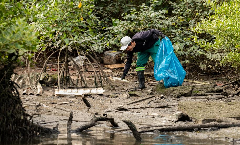 Mutirão remove mais de meia tonelada de lixo dos manguezais em Paranaguá