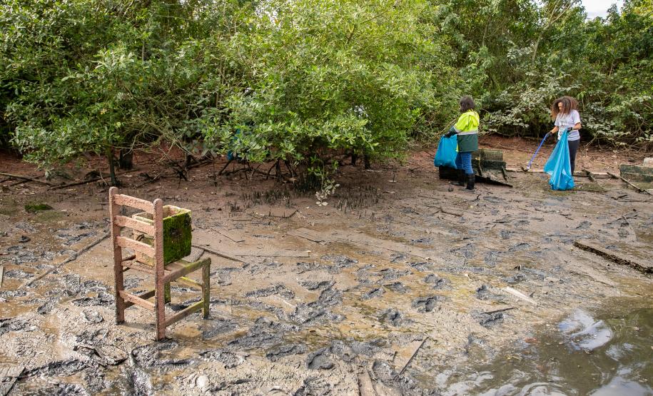 Mutirão remove mais de meia tonelada de lixo dos manguezais em Paranaguá