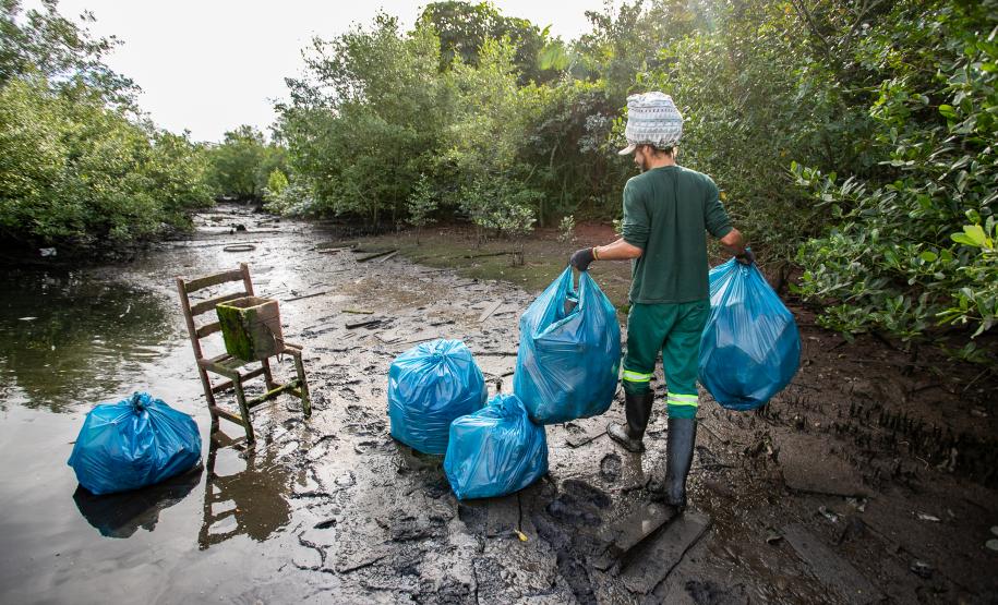 Mutirão remove mais de meia tonelada de lixo dos manguezais em Paranaguá