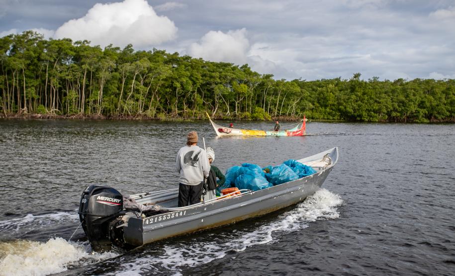 Mutirão remove mais de meia tonelada de lixo dos manguezais em Paranaguá
