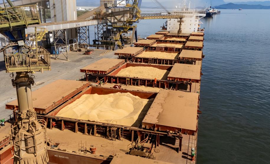 Porto de Paranaguá lidera exportações de soja e amplia participação de mercado em farelo e proteínas animais