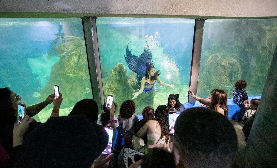 Portos do Paraná investe em manutenção e reforma do Aquário de Paranaguá