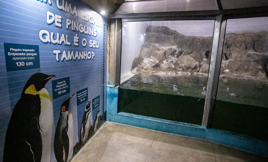 Portos do Paraná investe em manutenção e reforma do Aquário de Paranaguá